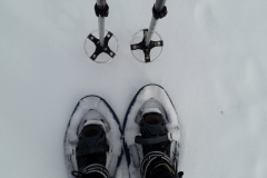Schneeschuhe