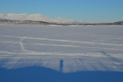Tornetraesk-Vinter