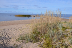Dünen1