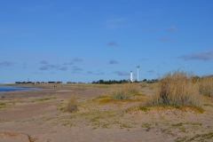 Dünen2