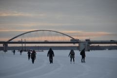 Bergnäsbron