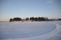 Gråsjälören