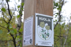 Markierung des Fries-Pfades am Nuolja.