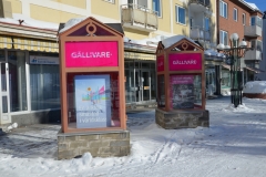 Gällivare plant