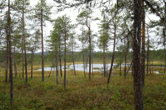 Lemmenjoki-3