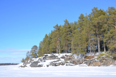 Haellskaer