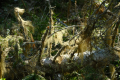 balesudden-sverige25