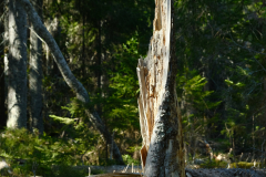 balesudden-sverige25