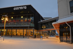 Aurora-Vinter
