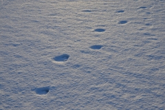 Lulea-Skaergard-2