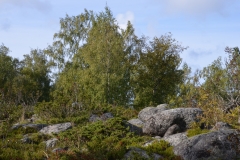 Moräne-an-Land
