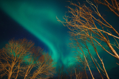 2019-03_Polarlicht_CLPL-2