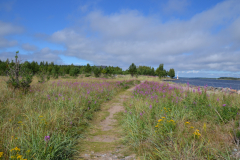 Sandoen-Weg
