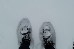 Schneeschuhe-Tiefschnee