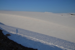 Blick-auf-Svartisen