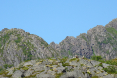 zwei-Seeadler