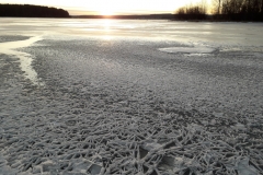 Eisrosen