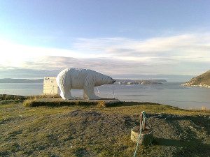 Eisbär Hammerfest