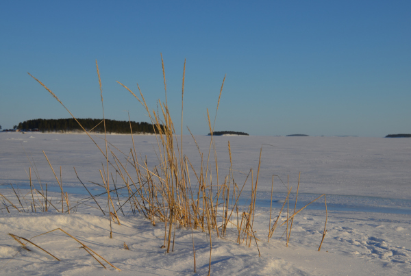 Galerie Polarkreisportal de