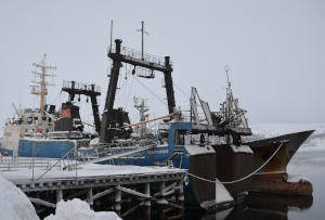 Trawler Kirkenes