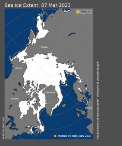 Arktiseis Maximum 2023