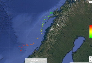 Heringshai Tracking