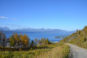 Blauer Himmel, Fjord, Bäume mit herbstlichem Laub