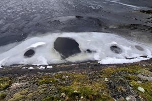 Ufer, Schneereste im Wasser