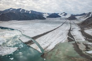 Eiszunge mit schwarzem Streifen